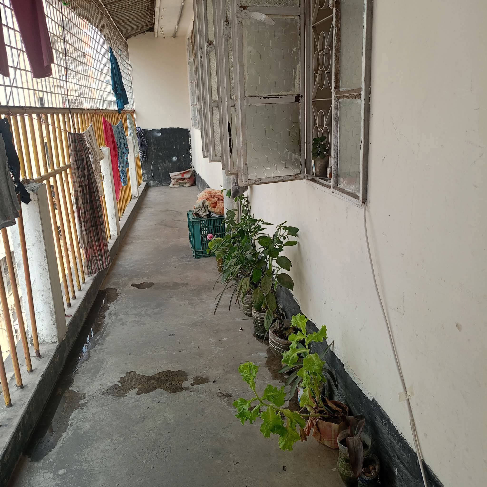 room vara